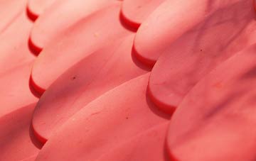 Ladies Riggs plastic roof costs