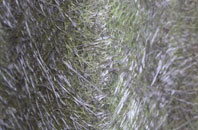 Ladies Riggs fibreglass roof work